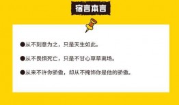分享最新爆料文案,最新爆料独家解读，带你领略幕后真相！